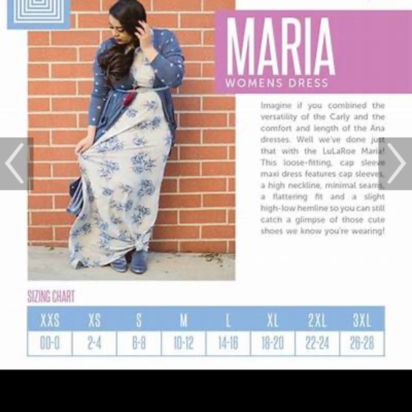 LulaRoe Maria Dress - Picture 6 of 6